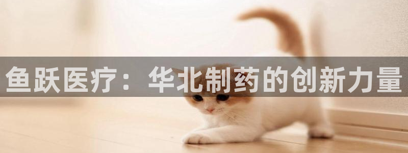 彩名堂官方下载地址