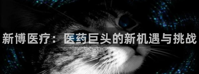 彩名堂合作655560