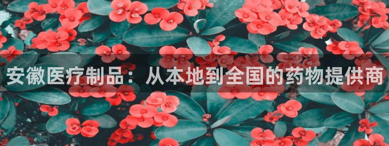 彩名堂二维码