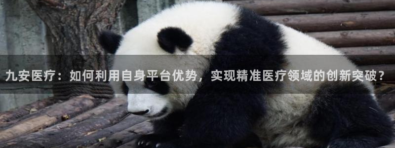 彩名堂计划app安卓免费下载
