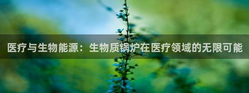 彩名堂app计划官方网站
