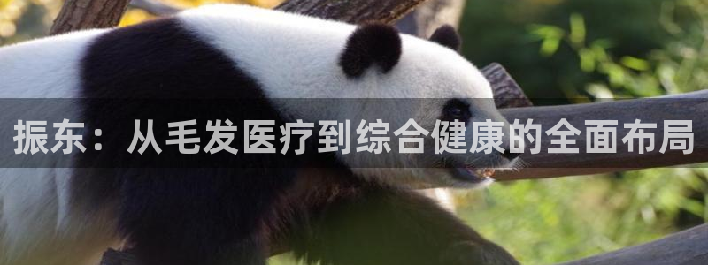 彩名堂一直不出结果怎么回事儿