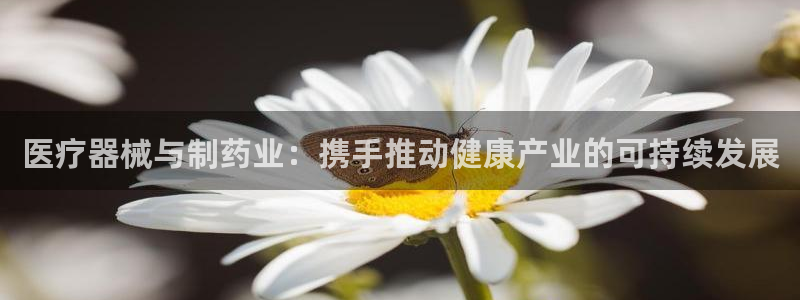 正规彩名堂官网计划01