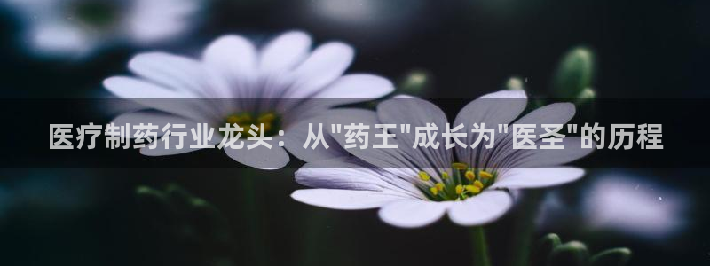 彩名堂计划官方客服