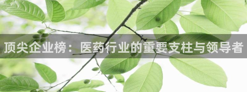 彩名堂计划怎么出的