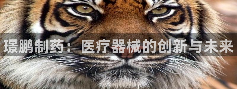 彩名堂怎么打不开了