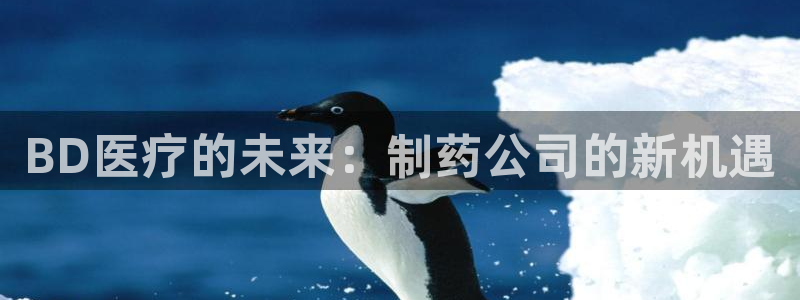 彩名堂免费计划官网5 0
