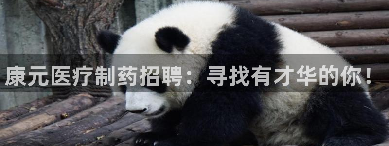 彩名堂app下载5.1.0