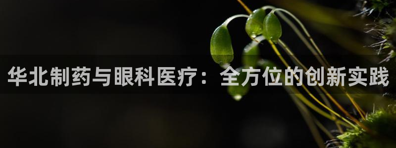 彩名堂官方软件下载