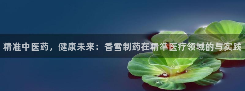 老版本彩名堂计划软件