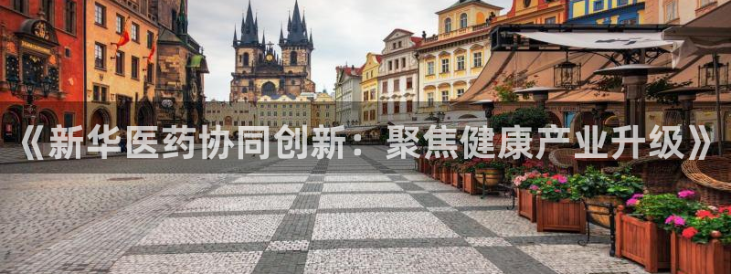 彩名堂网页