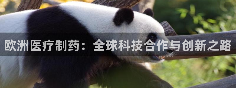 彩名堂一直不出结果怎么回事呀