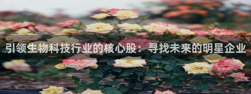 彩名堂还可以用吗