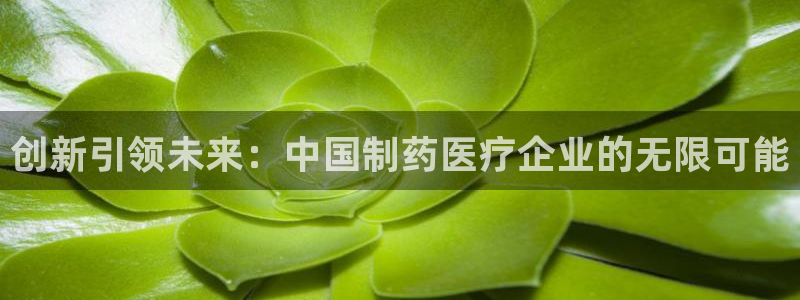 彩名堂计划官方客服