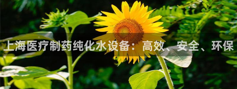 彩名堂计划技巧
