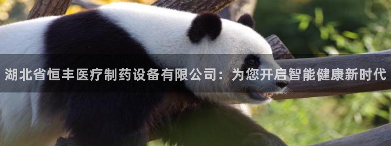 彩名堂计划怎么出的