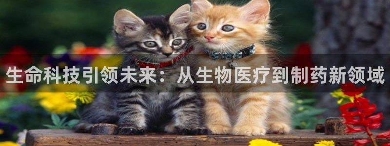 彩名堂预测